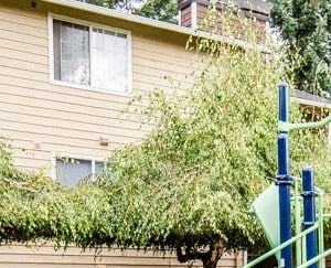 Tacoma Apartments - Altitude 104 Apartments - Playground